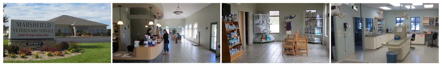 Photos Across Our Veterinary Practice - Building, Reception, Treatment Area