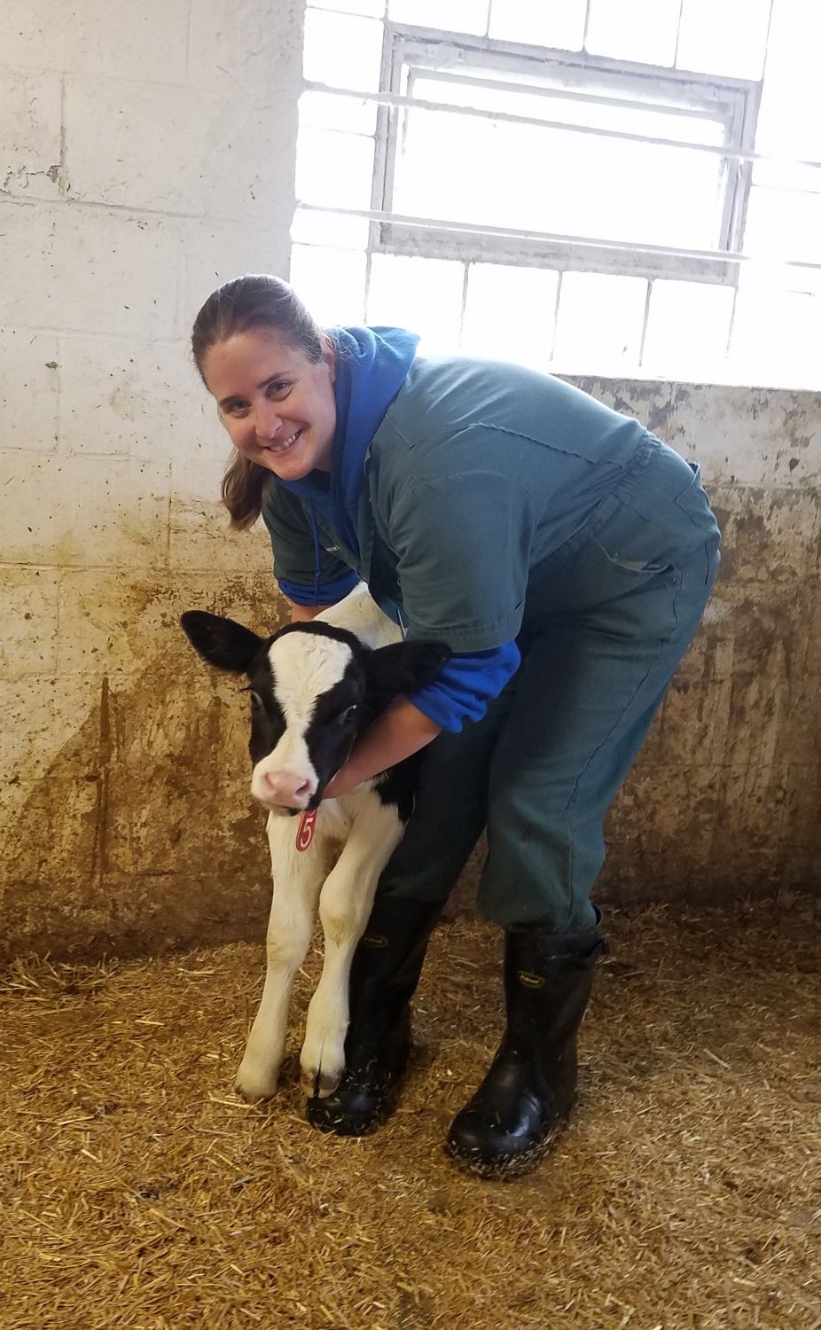 Dr. Ann Wenzel - large animal veterinarian - Marshfield Veterinary Service - Marshfield, WI Dr. Ann Wenzel - large animal veterinarian - Marshfield Veterinary Service - Marshfield, WI