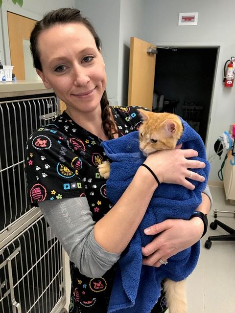 Kim, Certified Veterinary Technician - Marshfield Veterinary Service - Marshfield, WI Kim, Certified Veterinary Technician - Marshfield Veterinary Service - Marshfield, WI