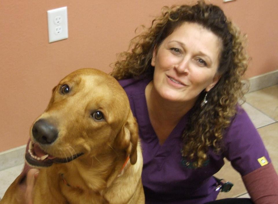 Dr. Ann Deiss - small animal veterinarian- Marshfield Veterinary Service - Marshfield, WI Dr. Ann Deiss - small animal veterinarian- Marshfield Veterinary Service - Marshfield, WI