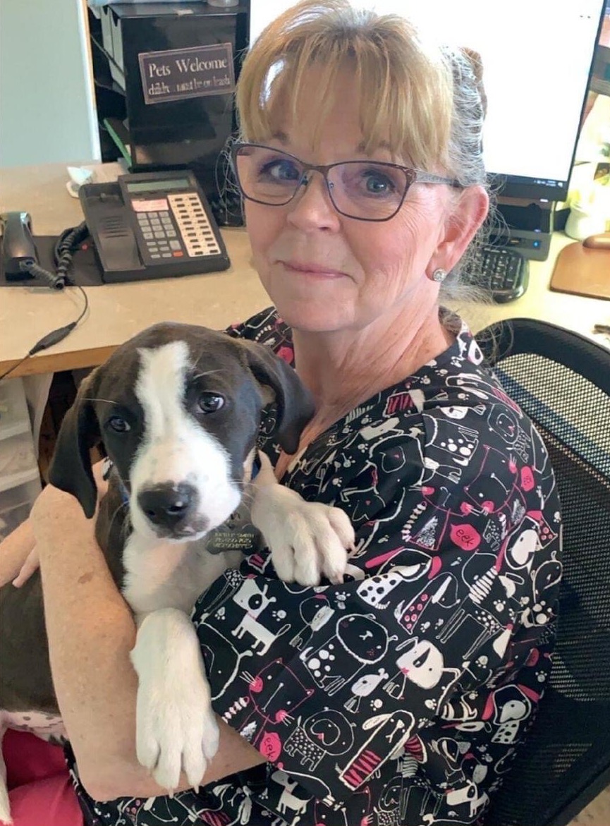 Tricia, Customer Service Representative - Marshfield Veterinary Service - Marshfield, WI Tricia, Customer Service Representative - Marshfield Veterinary Service - Marshfield, WI